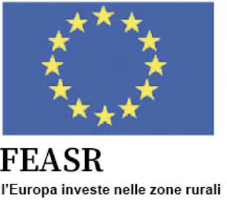 Logo FEASR
