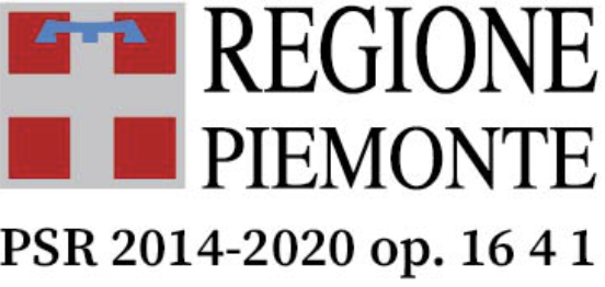 Logo Regione Piemonte